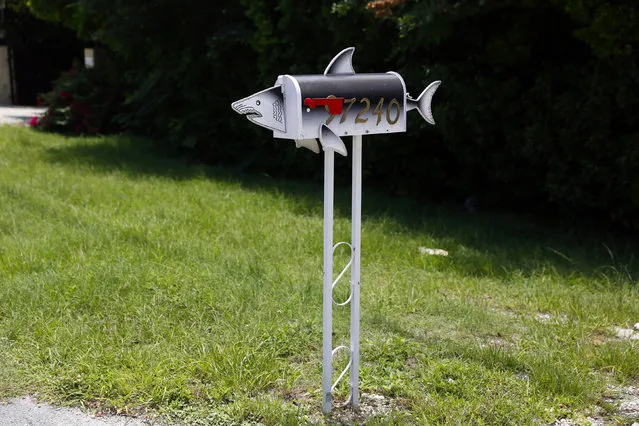 A mailbox in the shape of a shark is seen along the highway US-1 in the Lower Keys near Key Largo in Florida, July 10, 2014. (Photo by Wolfgang Rattay/Reuters)