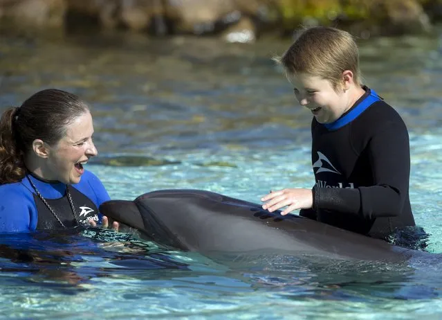Rady Children's Hospital patient 10-year-old Jayden Skorpanich greets a bottlenose dolphin with trainer Joy Soto after Sea World invited patients to swim and interact with the dolphins at their park in San Diego, California  August 27, 2015. (Photo by Mike Blake/Reuters)