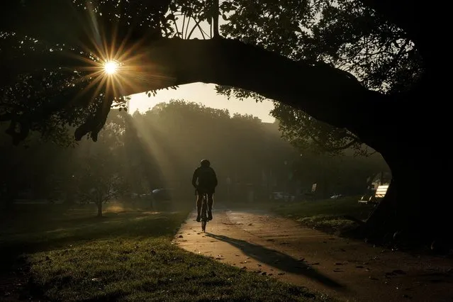 A cyclist rides through a city park as the sun rises in Sydney, Australia on August 28, 2022. (Photo by Loren Elliott/Reuters)