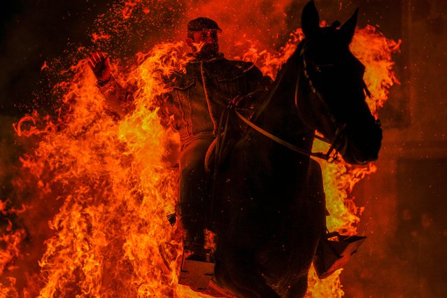 A man rides a horse through a bonfire as part of a ritual in honor of Saint Anthony the Abbot, the patron saint of domestic animals, in San Bartolome de Pinares, Spain, Thursday, January 16, 2025. (Photo by Manu Fernandez/AP Photo)