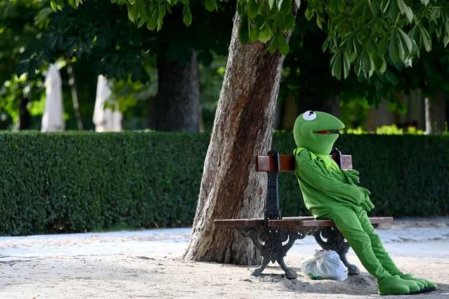 A man dressed as the Muppets show character Kermit the Frog waits for a tip at the Retiro Park in Madrid, on July 01, 2020. (Photo by Gabriel Bouys/AFP Photo)