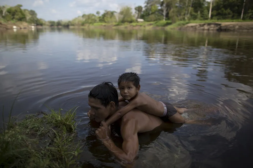 Cold Ice Freshens Life in Hot Amazon