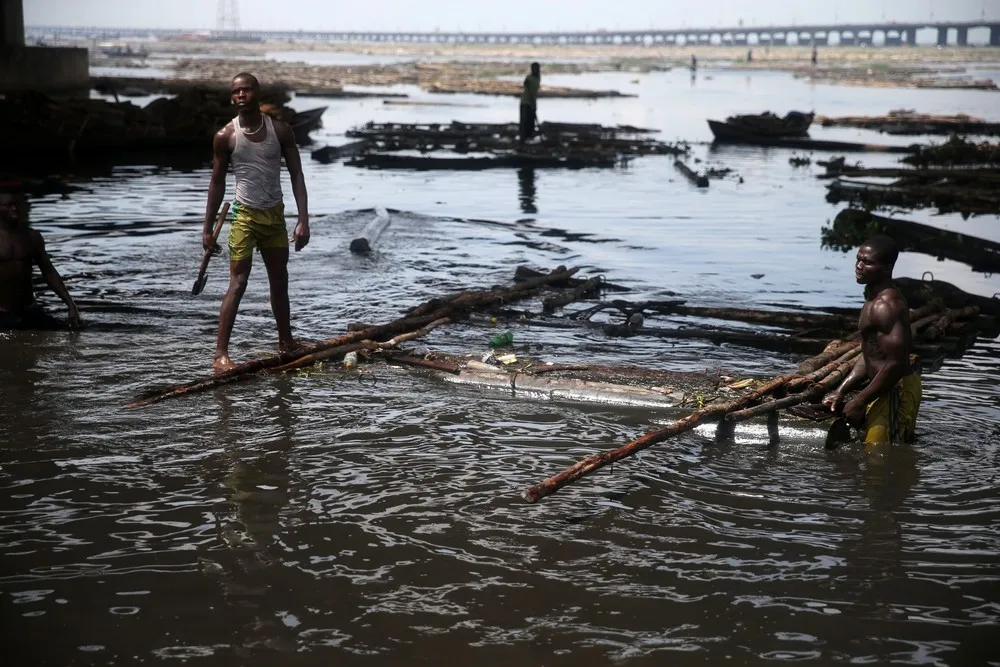 Trees, Planks and Sawdust – Logging in Nigeria