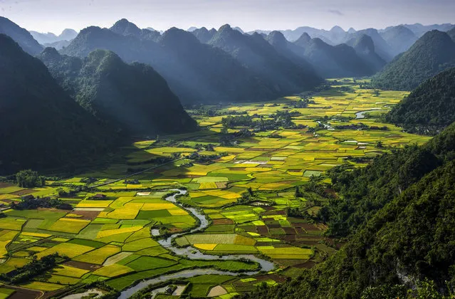 “Alternating Rice Plots in the Bacson Valley”. Photo by Hai Thinh Hoang (Hanoi, Vietnam). Photographed in Bac Son, Lang Son, Vietnam, July 15, 2012.