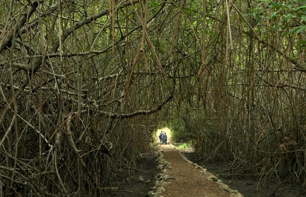 People in the Landscape