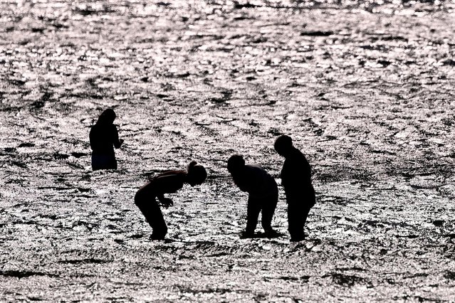 People cool off at St Kilda Beach on an unseasonal warm and windy day in Melbourne on September 15, 2025. (Photo by William West/AFP Photo)