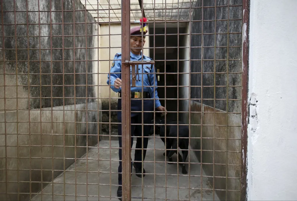 Tihar Festival in Kathmandu