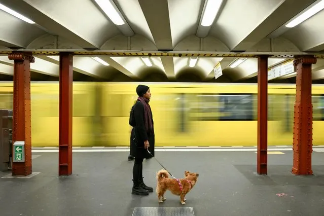 A commuter with a dog stands on a Berlin transport company BVG subway platform at Alexanderplatz station during a nationwide strike called by the German trade union Verdi over a wage dispute, in Berlin, Germany on March 27, 2023. (Photo by Annegret Hilse/Reuters)