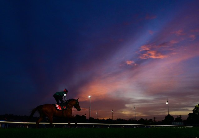James McDonald riding Via Sistina during Moonee Valley Breakfast With The Best Gallops at Moonee Valley Racecourse on October 21, 2025 in Melbourne, Australia. (Photo by Vince Caligiuri/Getty Images)