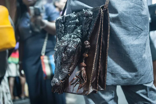A shoulder bag made from a crocodile seen at the Lagos Fashion & Design Week in Nigeria on October 26, 2016. (Photo by Stefan Heunis/AFP Photo)
