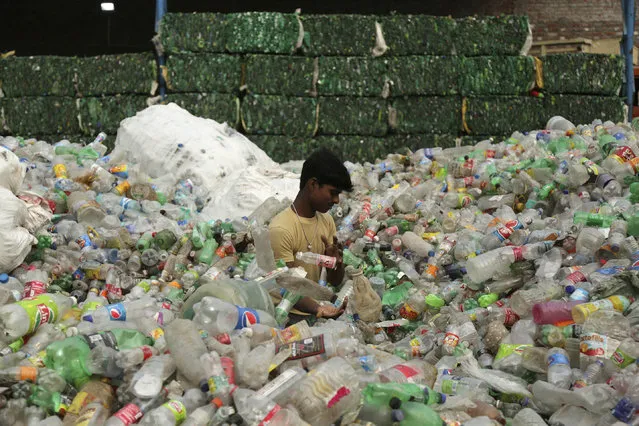 An Indian worker sorts used plastic bottles before sending them to be recycled at an industrial area on the outskirts of Jammu, India, Tuesday, June 5, 2018. The U.N. says government bans on plastic can be effective in cutting back on waste but poor planning and follow-through have left many such bans ineffective. (Photo by Channi Anand/AP Photo)
