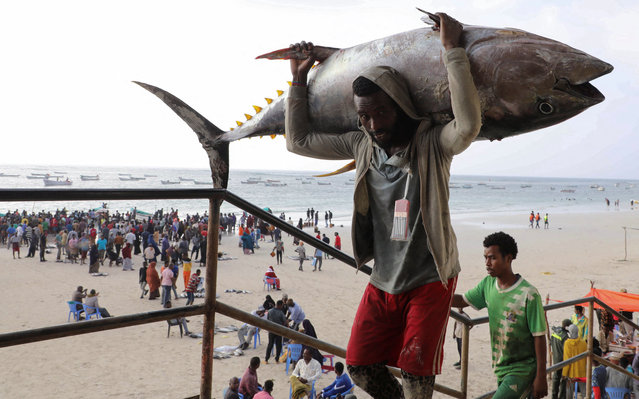 A Somali trader carries a fish at Liido beach on the shores of the Indian Ocean in Mogadishu, Somalia, on December 1, 2025. (Photo by Feisal Omar/Reuters)