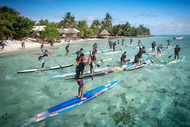 Racers compete in the 45km standing paddle race on December 5, 2015 in Papeete, as part of the 15th annual edition of the Bora Bora Ironmana Liquid Festival.
The best Polynesian and international athletes, coming from Australia to the United States and France. (Photo by Gregory Boissy/AFP Photo)