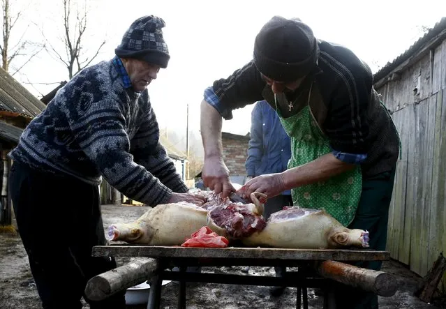 Belarussian men prepare to cook a pig after slaughtering it in the village of Azerany, Belarus, December 12, 2015. (Photo by Vasily Fedosenko/Reuters)