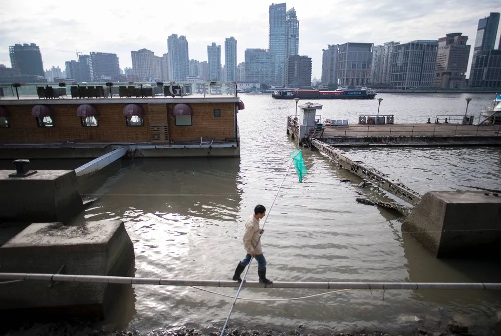 The Day in Photos – November 13, 2016