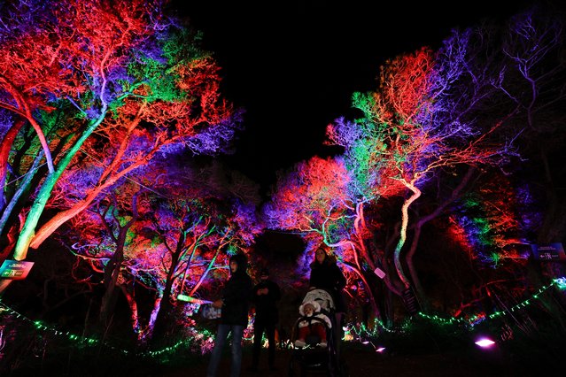 People visit an illuminated walk-through trail featuring lantern illuminated sculptures, light installations, and light projections which have been set up for the Christmas season at Verdala Palace, in Siggiewi, Malta, on December 21, 2024. (Photo by Darrin Zammit Lupi/Reuters)