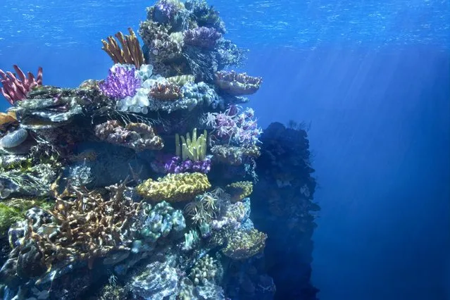 A photograph of underwater model of corals by Matthew Albanese called, “How to Breathe Underwater”. (Photo by Matthew Albanese/Barcroft Media)