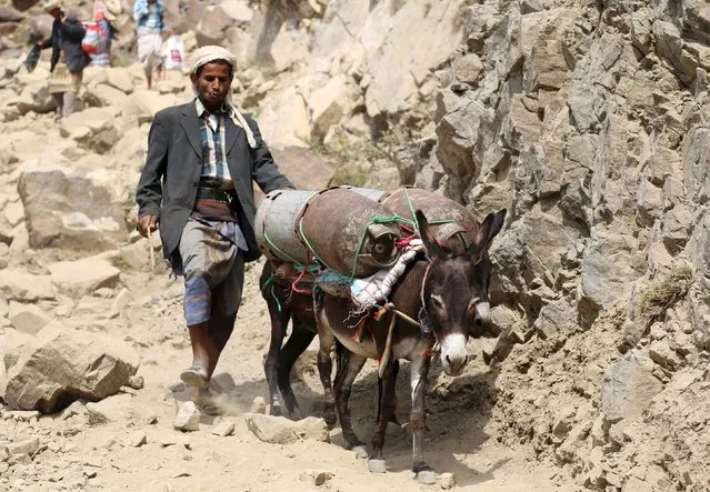 A man transports cooking gas cylinders on a mountainous road to Yemen's southwestern war-torn city of Taiz December 26, 2015. (Photo by Reuters/Stringer)