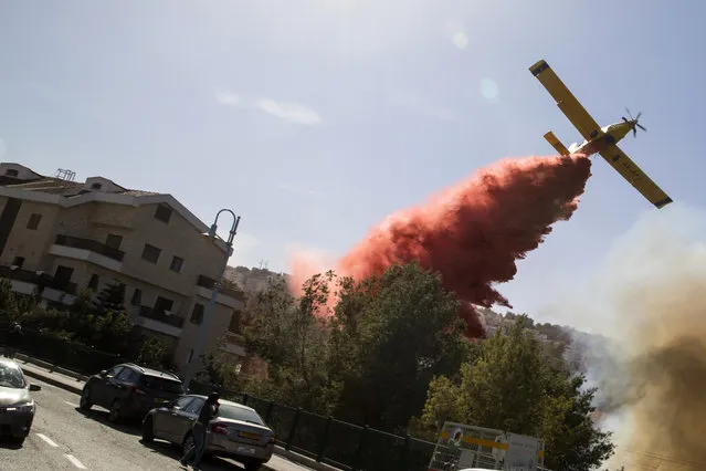An Israeli firefighter plane helps extinguish a bushfire in the northern Israeli port city of Haifa on November 24, 2016. (Photo by Jack Guez/AFP Photo)