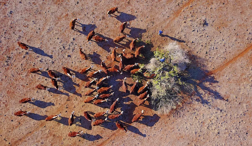 Australian Drought from Above