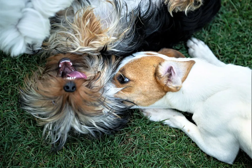 A Look at Life in Turkey, Part 1/2