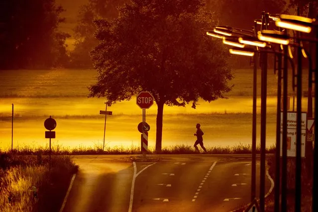 A man runs along a road on the outskirts of Frankfurt, Germany, early Tuesday, July 18, 2023. (Photo by Michael Probst/AP Photo)