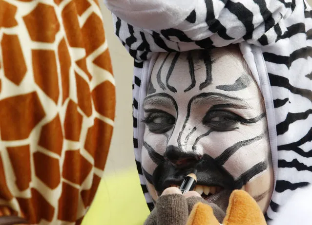 People wearing  animal costumes prepare for  carnival celebrations in Duesseldorf, Germany, Sunday February 7, 2016. (Photo by Roland Weihrauch/DPA via AP Photo)