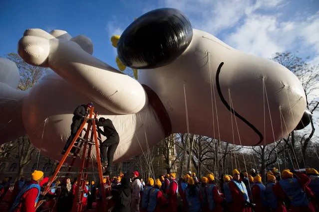 Workers prepare the giant Snoopy balloon before the 87th Annual Macy's Thanksgiving Day Parade, Thursday, November 28, 2013, in New York. After fears the balloons could be grounded if sustained winds exceeded 23 mph, Snoopy, Spider-Man and the rest of the iconic balloons received the all-clear from the New York Police Department to fly between Manhattan skyscrapers on Thursday. (Photo by John Minchillo/AP Photo)