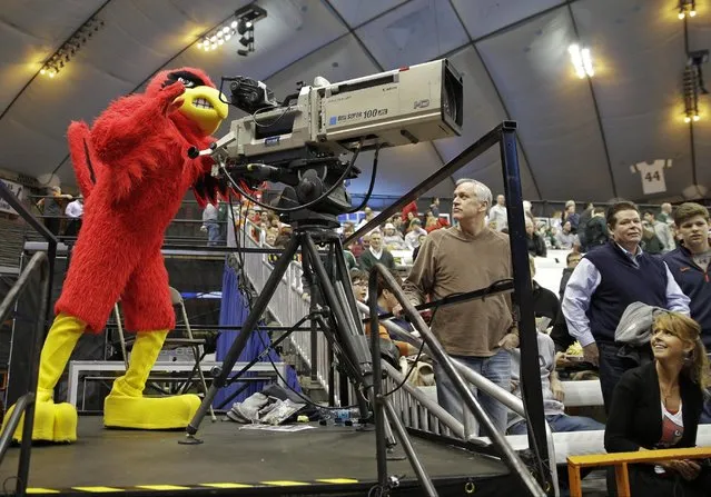 Louisville's mascot stands behind a television camera before Louisville's regional semifinal against North Carolina State in the NCAA men's college basketball tournament Friday, March 27, 2015, in Syracuse, N.Y.  (Photo by Seth Wenig/AP Photo)