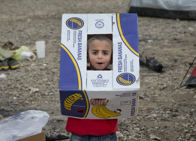 A child plays with a cardboard box at the northern Greek border station of Idomeni, Sunday, March 6, 2016. Greek police officials say Macedonian authorities have imposed further restrictions on refugees trying to cross the border, saying only those from cities they consider to be at war can enter as up to 14,000 people are trapped in Idomeni, while another 6,000-7,000 are being housed in refugee camps around the region. (Photo by Vadim Ghirda/AP Photo)