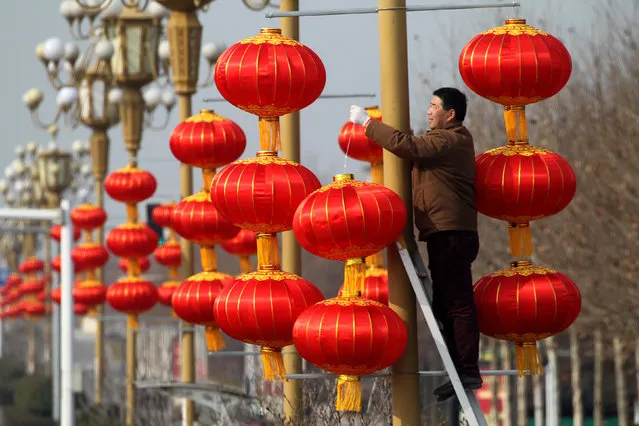 A man hangs lanterns along a street ahead of the Chinese Lunar New Year in Xuchang, Henan province, China, January 15, 2017. Picture taken January 15, 2017. (Photo by Reuters/Stringer)