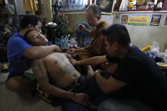 A Buddhist monk uses a traditional needle to tattoo the body of a man at Wat Bang Phra in Nakhon Pathom province on the outskirts of Bangkok, Thailand,  March 18, 2016. (Photo by Chaiwat Subprasom/Reuters)