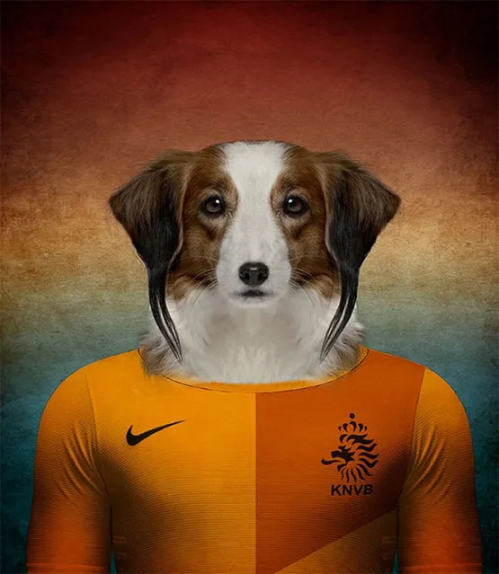 Dogs Of Word Cup Brazil 2014