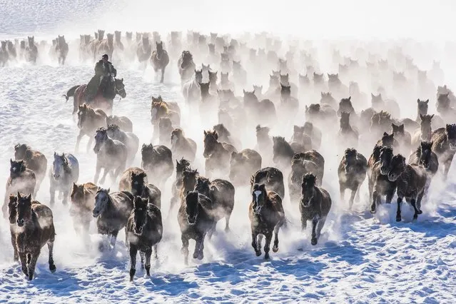 A drove of horses gallop on a snowfield in Zhaosu County, Kazak Autonomous Prefecture of Ili, northwest China's Xinjiang Uygur Autonomous Region, December 20, 2021. (Photo by Xinhua News Agency/Rex Features/Shutterstock)