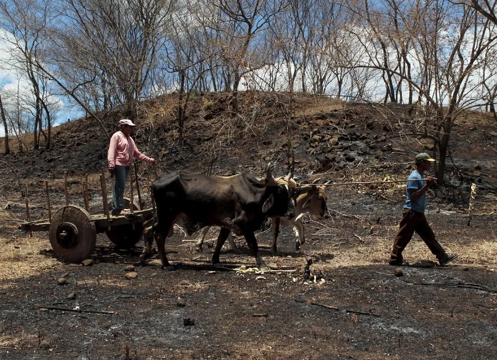 Charcoal Burners, La Campanera Village, Nicaragua