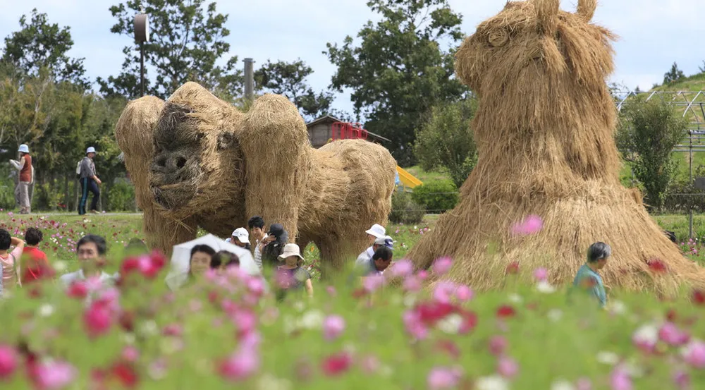 Straw Sculptures in Japan