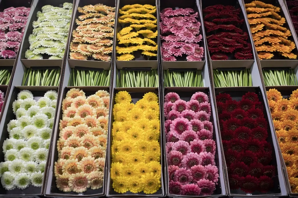 The Day in Photos – April 4, 2017