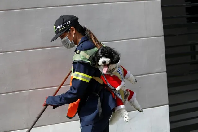 Thitirat Keowa-ram, Bangkok's street sweeper, carries her 1-year old poodle-shih tzu mix breed as she works at a street in Bangkok, Thailand on August 28, 2019. (Photo by Jiraporn Kuhakan/Reuters)
