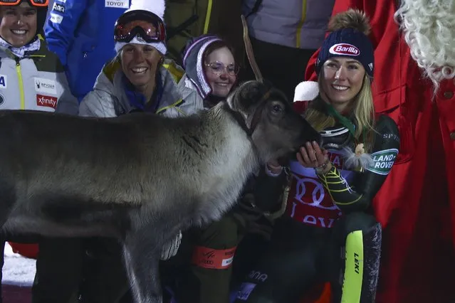 United States' Mikaela Shiffrin feeds a reindeer during the podium ceremony after winning an alpine ski, women's slalom in Levi, Finland, Saturday, November 23, 2019. (Photo by Alessandro Trovati/AP Photo)