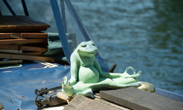 A moment of zen on board a barge called Sanity moored on the River Thames in Windsor, United Kingdom on May 27, 2023. (Photo by Maureen McLean/Rex Features/Shutterstock)