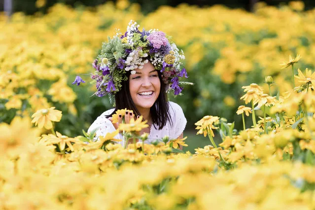 A model poses in a bright yellow sunshine meadow of 5,000 Rudbeckia on the opening day of the RHS Flower Show Tatton Park 2018 in Knutsford, Cheshire, UK Wednesday 18 July, 2018. The show celebrates its 20th anniversary this year and runs until 22nd July. (Photo by Mark Waugh/RHS)