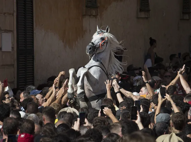 A horse rears in the crowd during the “Caragol des Born”, a mass gathering of horses and people swirling to the rythm of the music during the traditional Sant Joan (Saint John) festival in the town of Ciutadella, on the Balearic Island of Minorca, on the eve of Saint John's day on June 23, 2022. (Photo by Jaime Reina/AFP Photo)