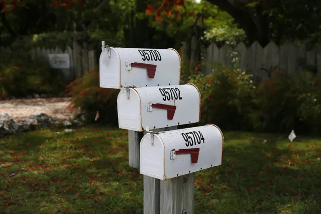 Three mailboxes are seen along the highway US-1 in the Lower Keys near Key Largo in Florida, July 10, 2014. (Photo by Wolfgang Rattay/Reuters)