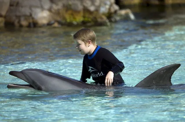 Rady Children's Hospital patient 10-year-old Jayden Skorpanich meets a bottlenose dolphin after Sea World invited patients to swim and interact with the dolphins at their park in San Diego, California August 27, 2015. (Photo by Mike Blake/Reuters)