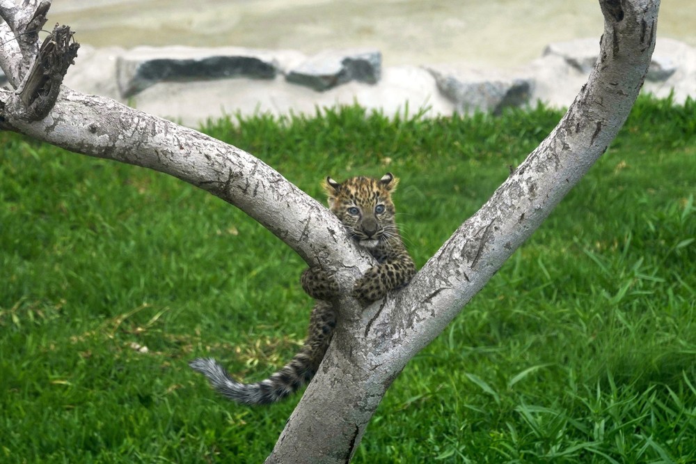 Pictures of the Year 2023, Part 178/224