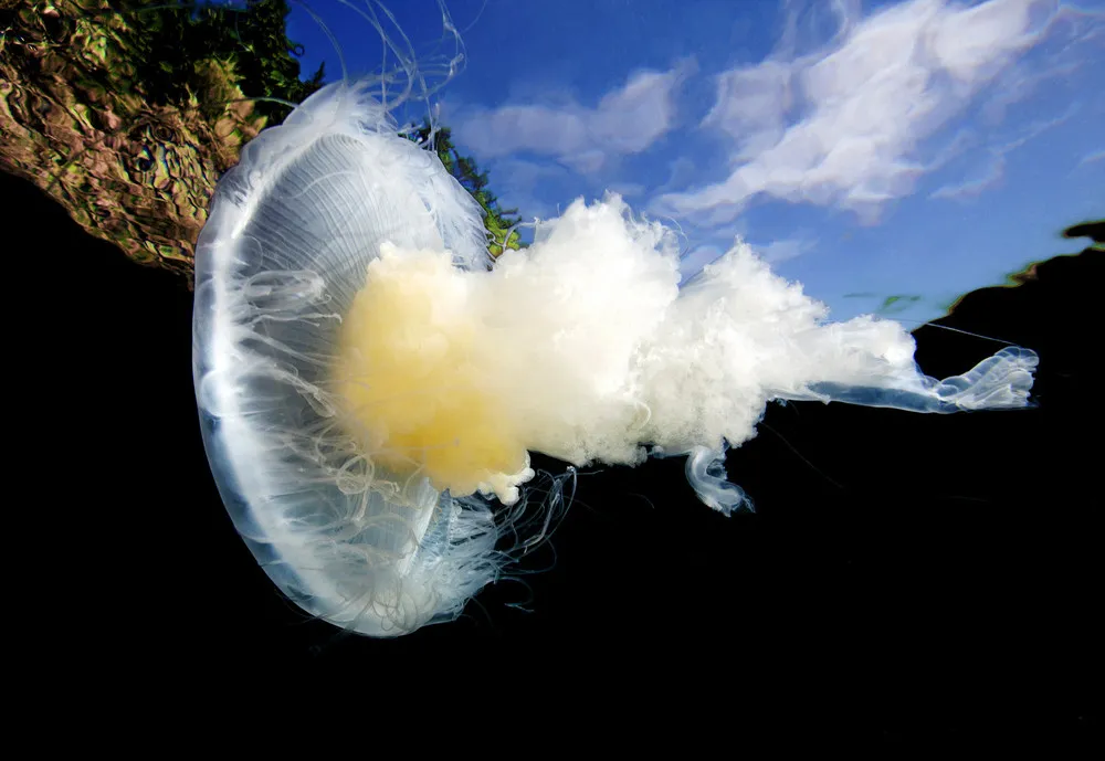 “Beneath Cold Seas”