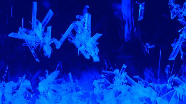 Copper sulfate crystals. (Photo by Yan Liang/Caters News)