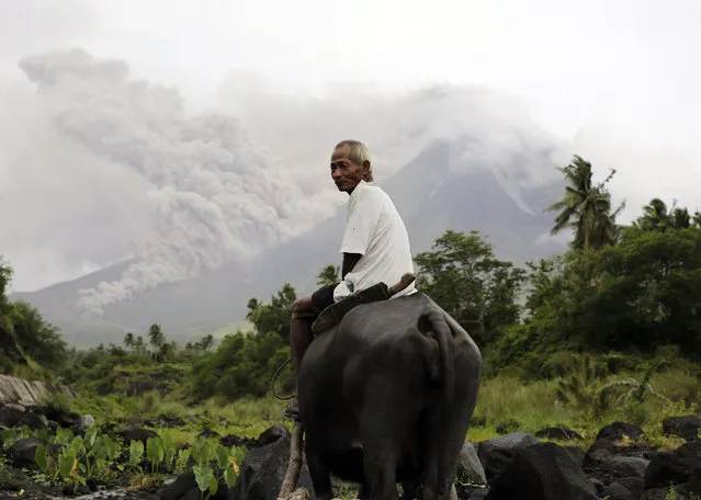 A Filipino villager rides a water buffalo along the slopes of rumbling Mayon Volcano as it spew ash in Legaspi city, Albay province, Philippines 16 January 2018. The Philippines on 15 January raised the alert level due to the possibility of a hazardous eruption of the Mayon volcano, in the east of the country, after it spewed clouds of ashes over the weekend, leading to an evacuation of more than a thousand people. (Photo by Francis R. Malasig/EPA/EFE)