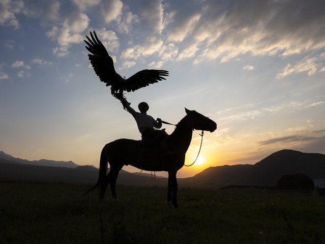 A traditional Kyrgyz man holds an eagle on his hand as the centuries-old tradition of eagle training, known as “Munushkor”, is making a comeback in Issyk-Kul, Kyrgyzstan on July 27, 2025. In this cultural practice, trainers called 'burkutchi' capture young eagles from nature and raise them through a dedicated training process. Once the training is complete, the birds are traditionally released back into the wild. Once on the brink of extinction during the Soviet era, the tradition is now being revived with interest from younger generations. Beyond being a method of hunting, eagle taming is regarded as a symbol of patience, loyalty, and cultural heritage. (Photo by Umut Karahasanoglu/Anadolu via Getty Images)