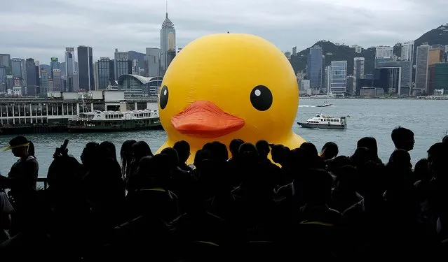 A 30-foot high rubber duck called “Spreading Joy Around the World”, created by Dutch artist Florentijn Hofman, is towed along Hong Kong's Victoria Habour, on May 2, 2013. Since 2007 the Rubber Duck has traveled to various cites including Osaka, Sydney, Sao Paulo and Amsterdam. (Photo by Vincent Yu/Associated Press)